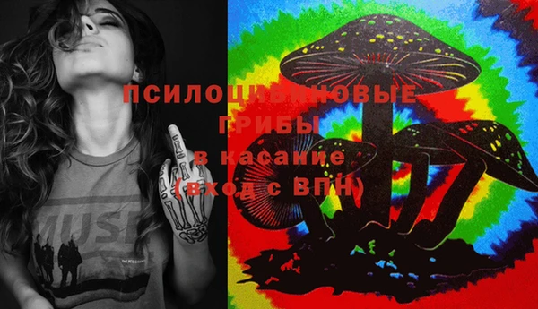 apvp Балабаново