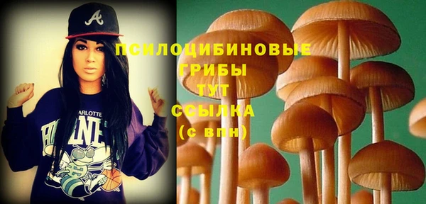 apvp Балабаново