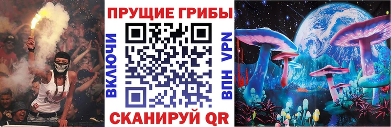 Псилоцибиновые грибы Psilocybe  мега рабочий сайт  Севск  купить  цена 